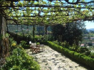 Wijnreis door Portugal: Vinho Verde